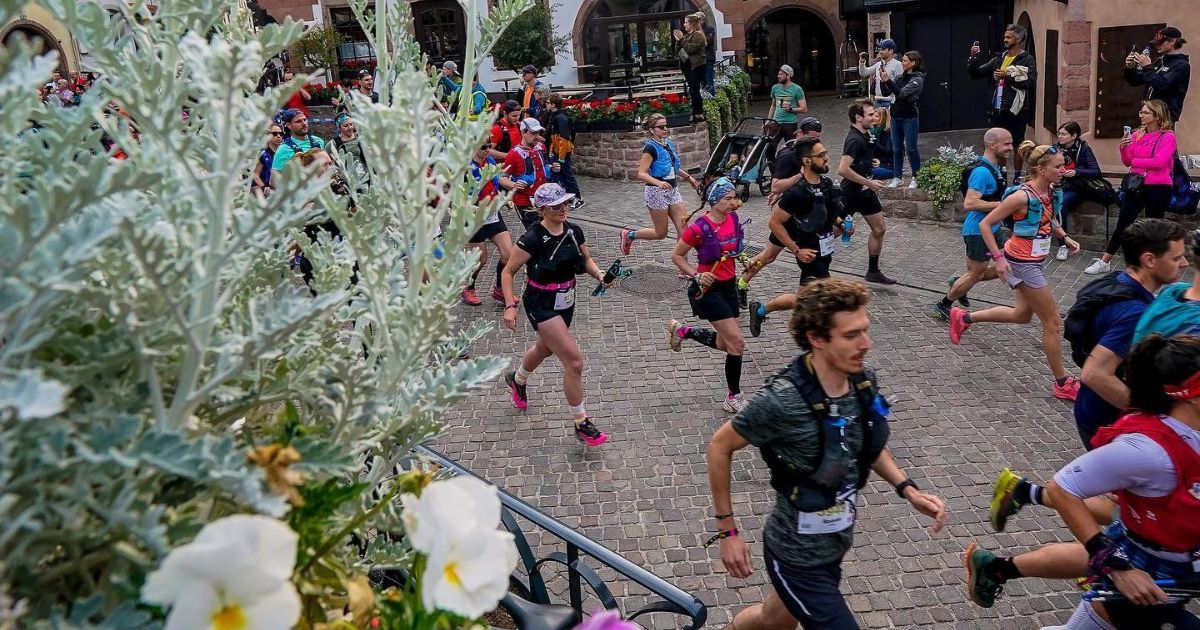 Race Management IMRR