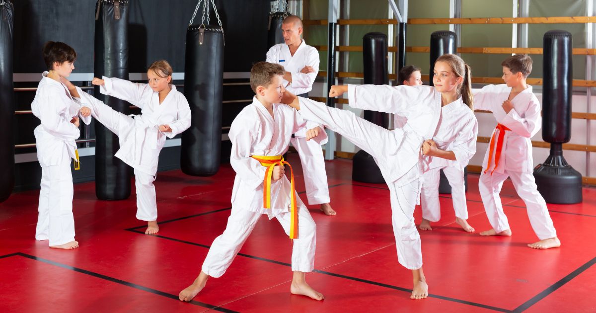 Karate dan Taekwondo