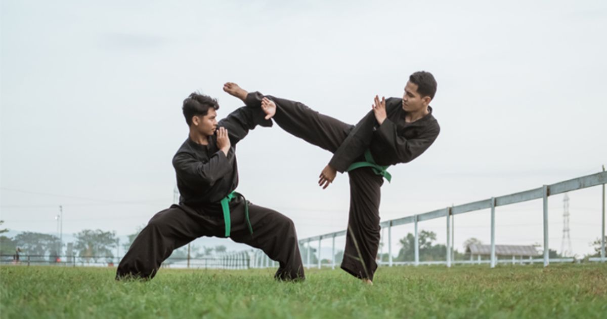 Karate dan Pencak Silat