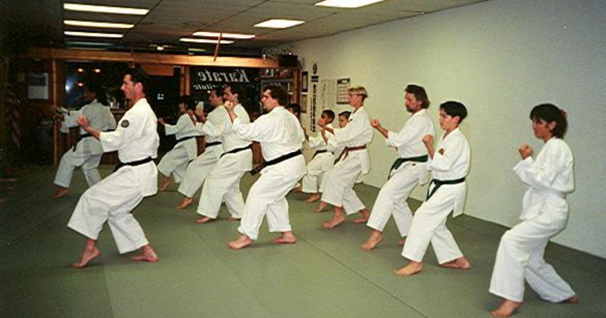 Aliran Karate Shito-Ryu