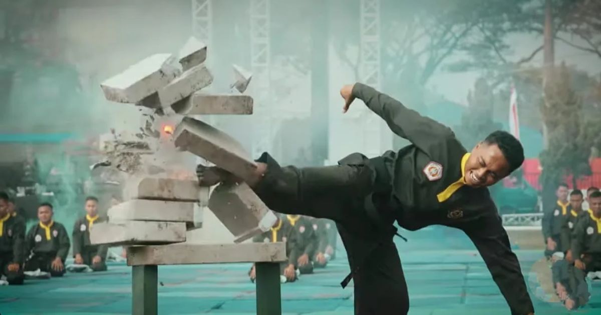 Istilah dalam Pencak Silat